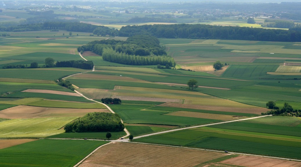 Gerelateerde afbeelding